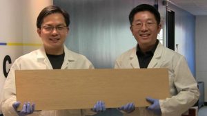 This superwood is ten times stronger than steel