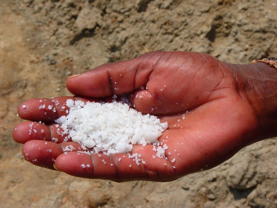 Myth buster: Healthy diet cannot counteract the effects of high salt intake