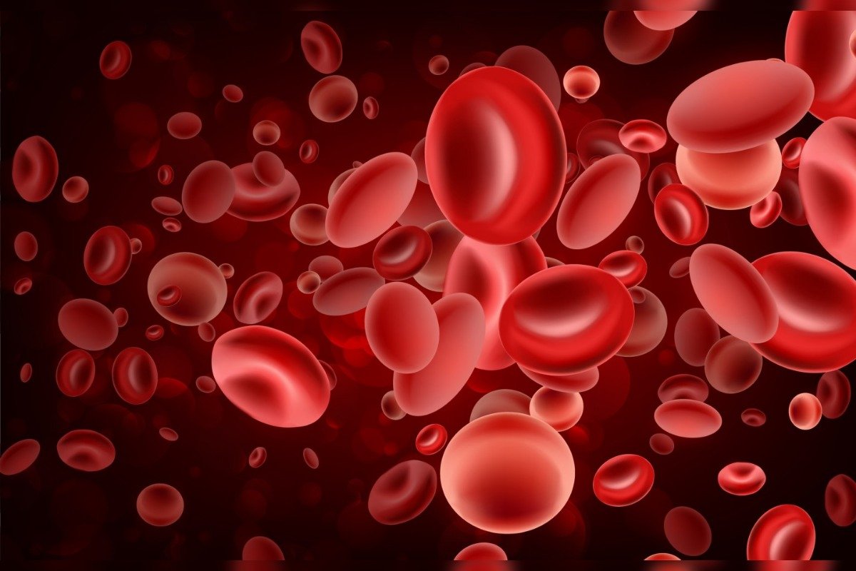 Super Human Red Blood Cells McMaster University